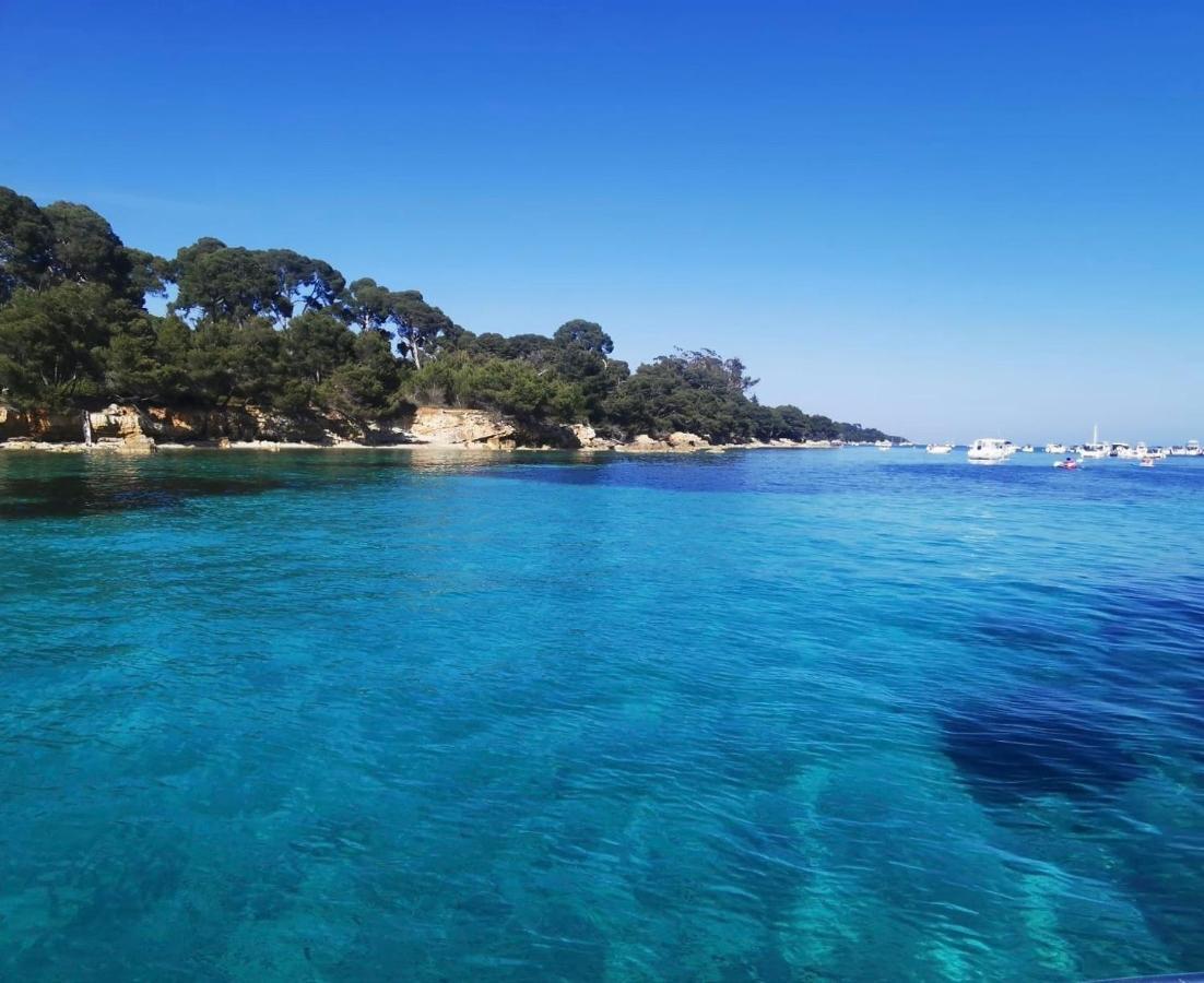 Un Havre De Paix Au Coeur De Mougins Lejlighed Eksteriør billede